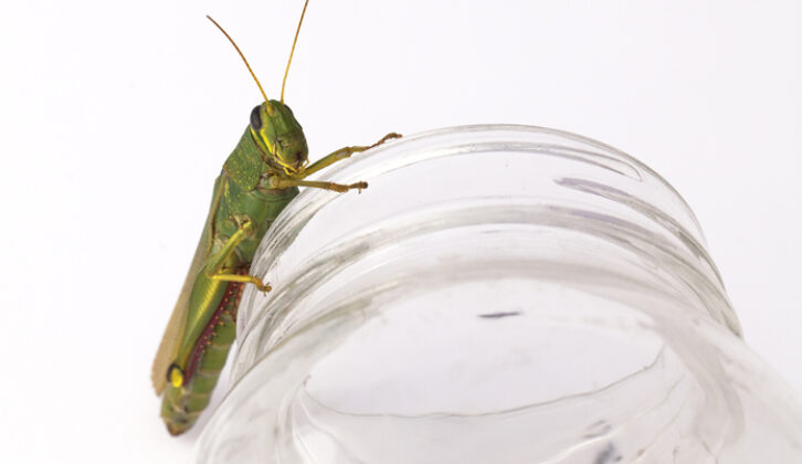 Free Your Leadership by Challenging Assumed Constraints