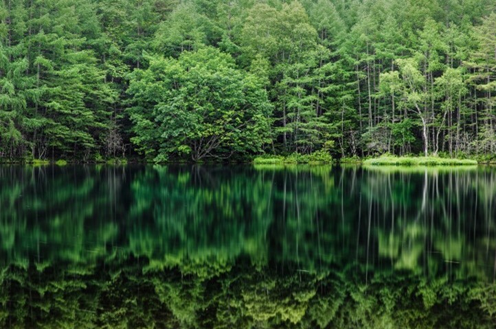 How to Recharge Through Rest and Reflection